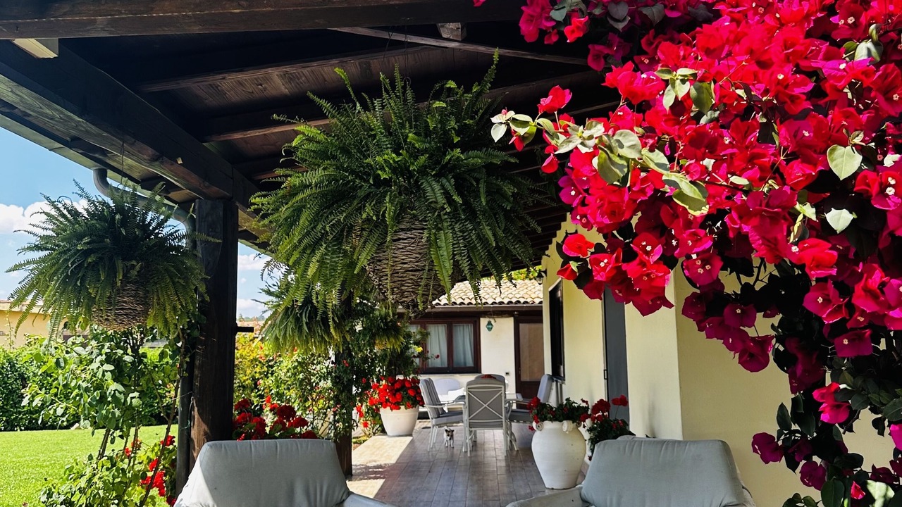 Photo of Outdoor in Formello