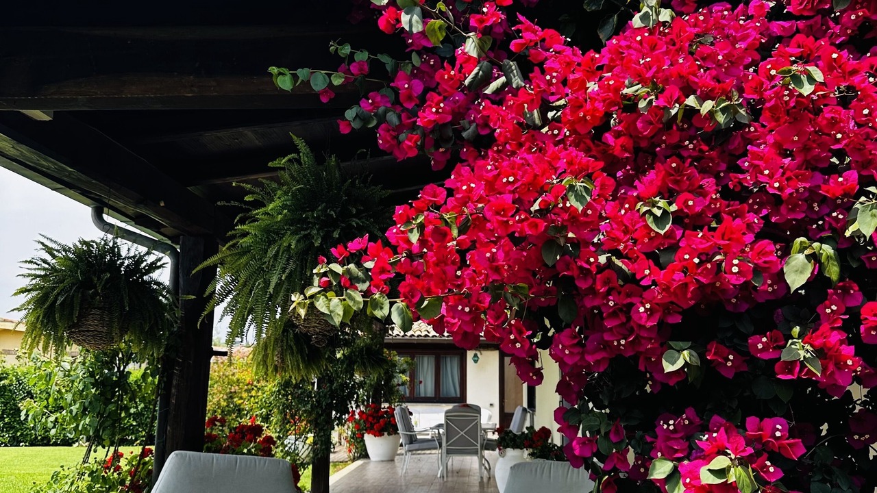 Photo of Outdoor in Formello