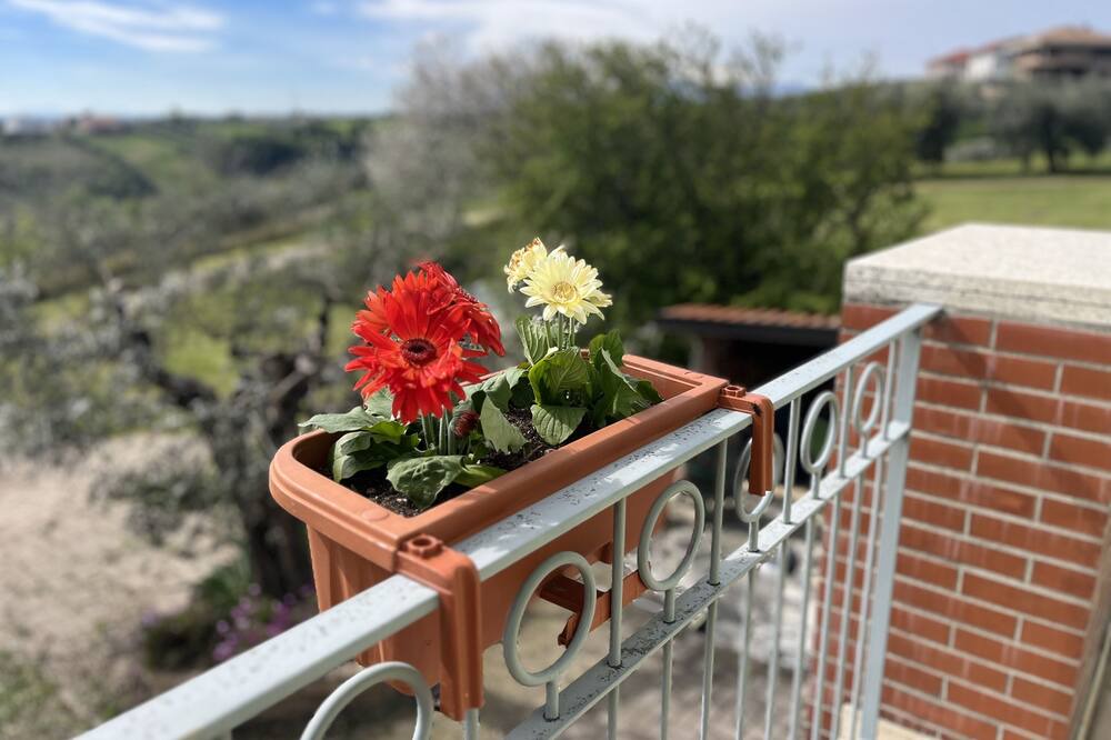 Photo of Outdoor in Ripa Teatina