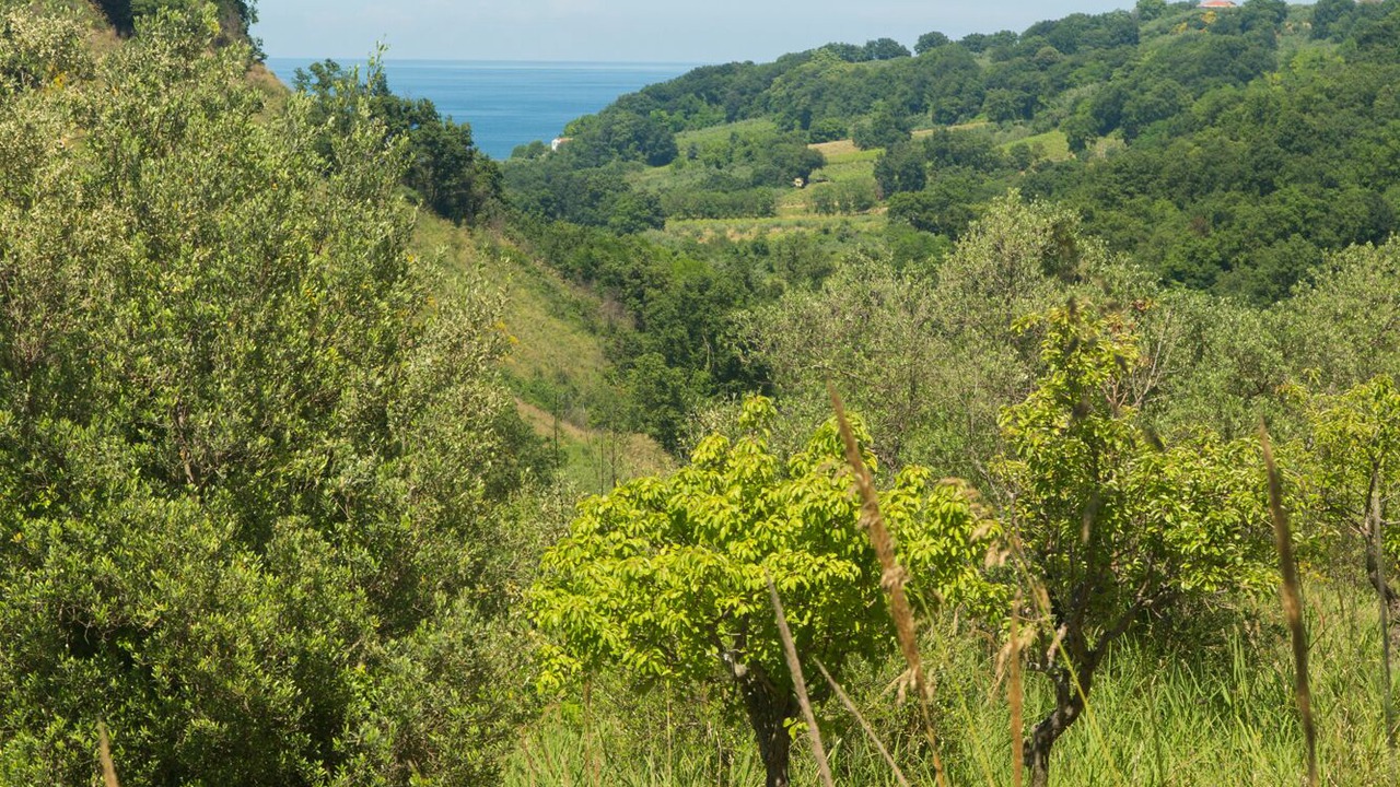 Photo of Outdoor in Rocca San Giovanni