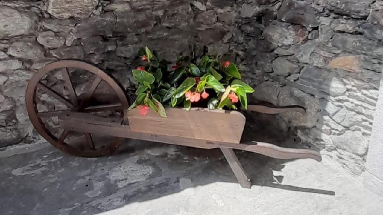 Photo of Outdoor in Premosello Chiovenda