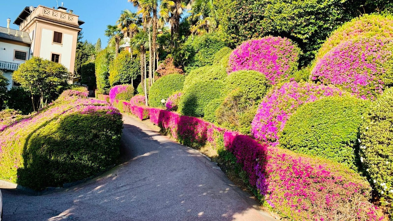 Photo of Outdoor in Gonte