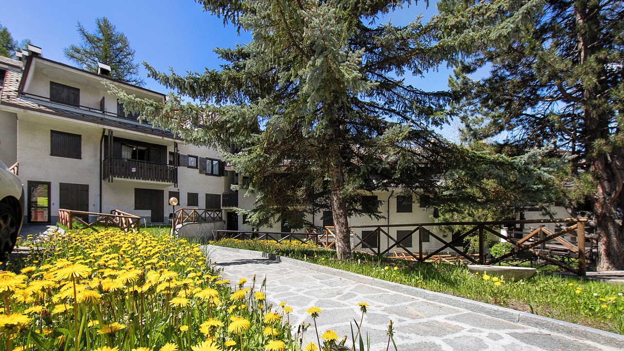 Photo of Outdoor in Sauze d'Oulx