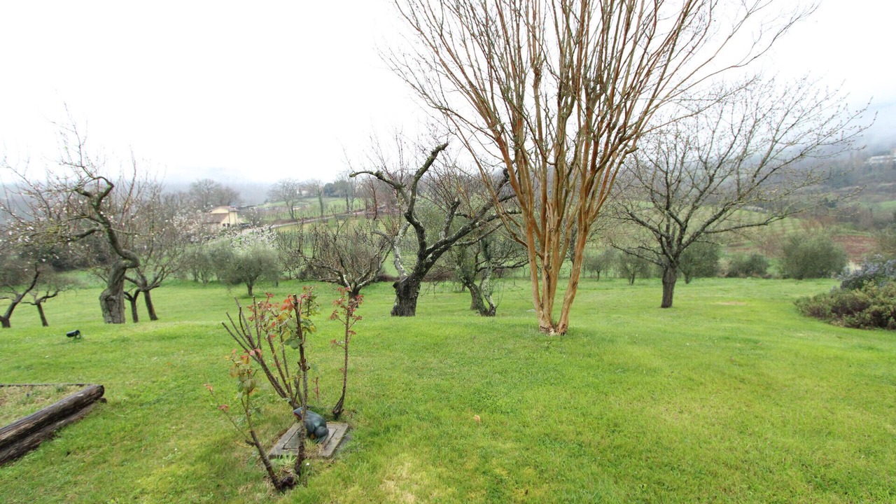 Photo of Outdoor in Melezzole