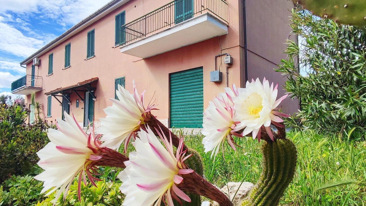 Photo of Outdoor in Latina