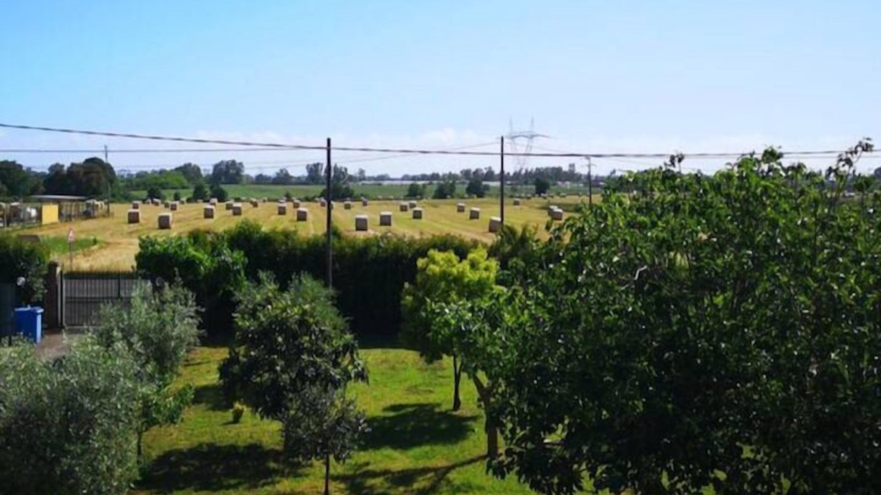 Photo of Outdoor in Latina