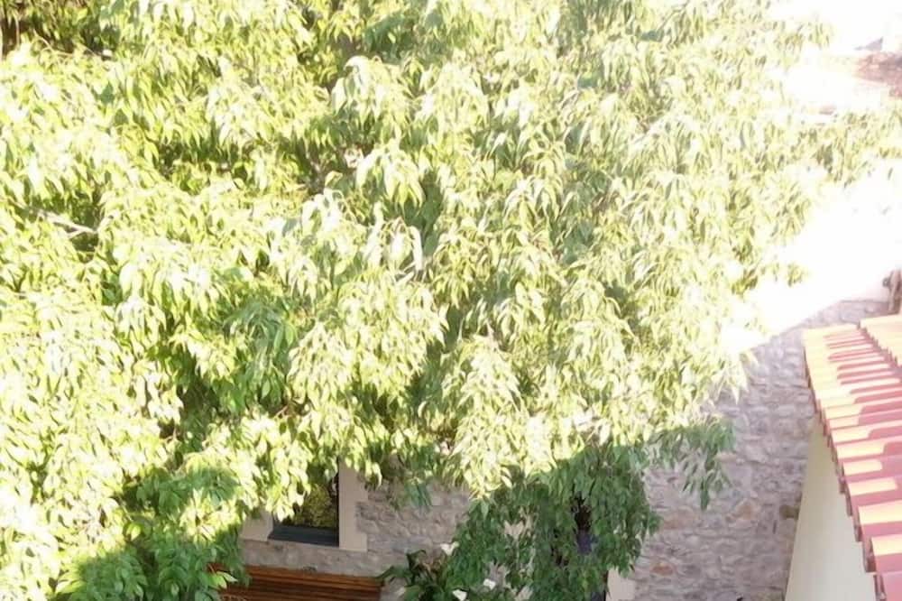 Photo of Outdoor in Masarac