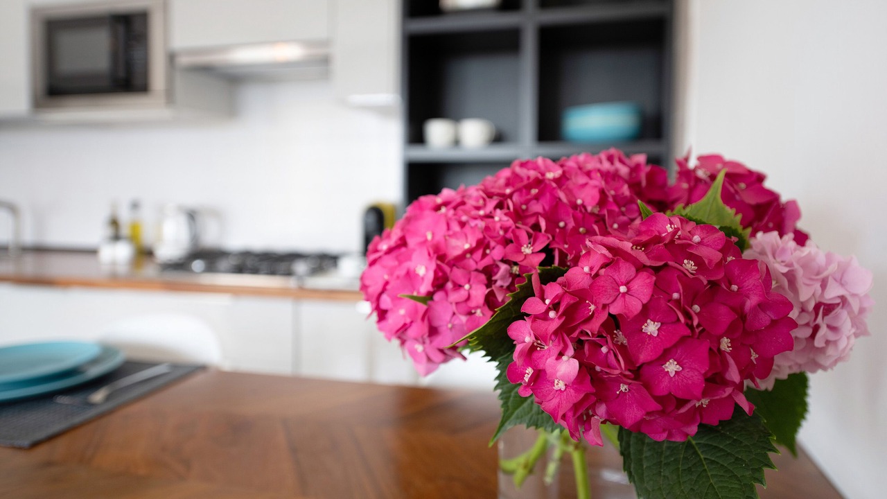 Photo of Kitchen in Predore