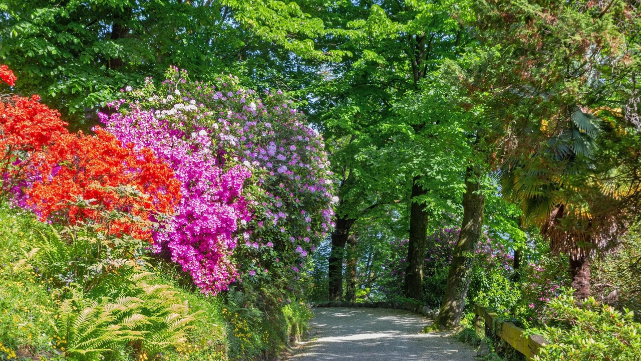Photo of Outdoor in Brovello-Carpugnino