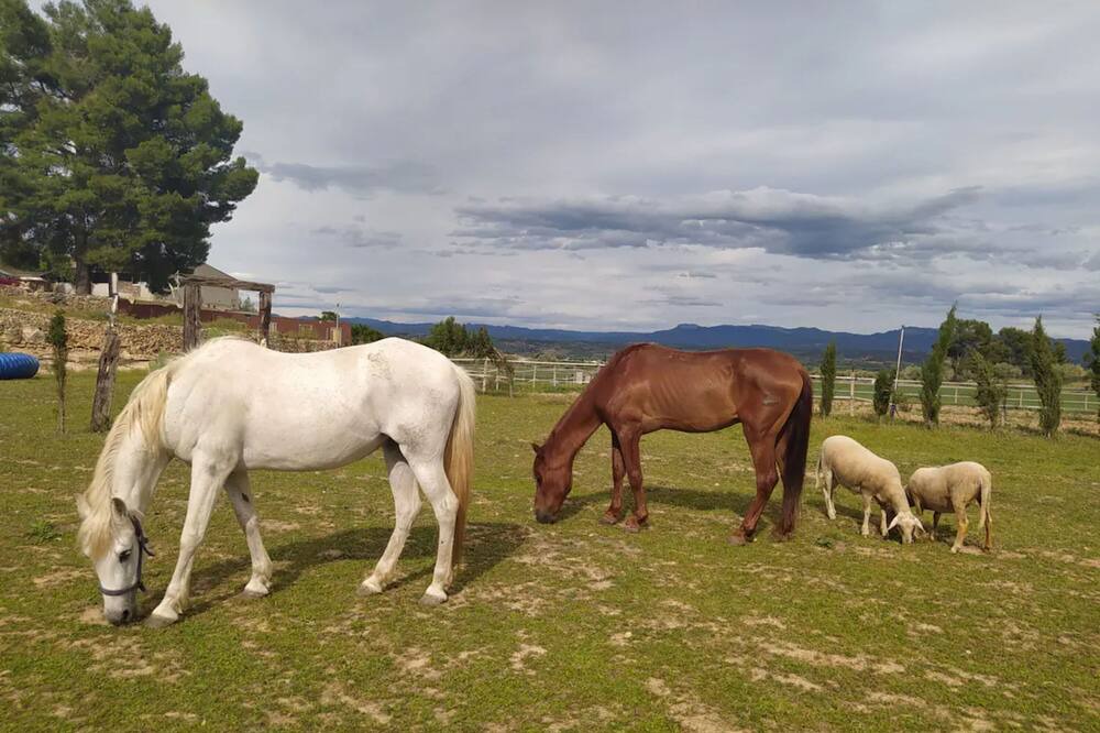 Photo of Outdoor in Mora d'Ebre