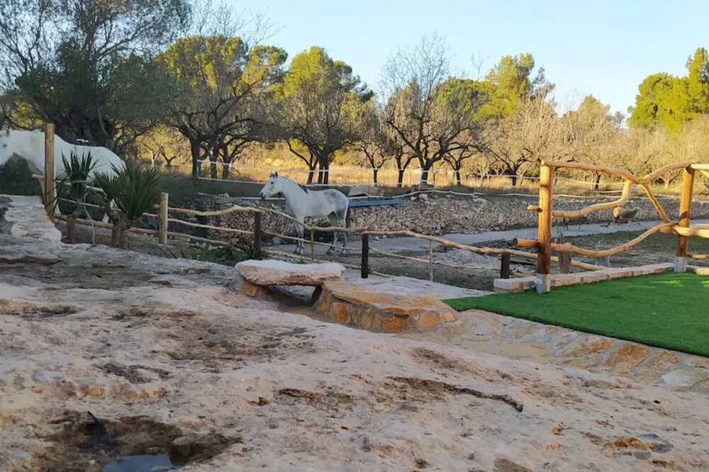 Photo of Outdoor in Mora d'Ebre
