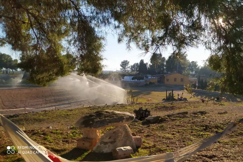 Photo of Outdoor in Mora d'Ebre