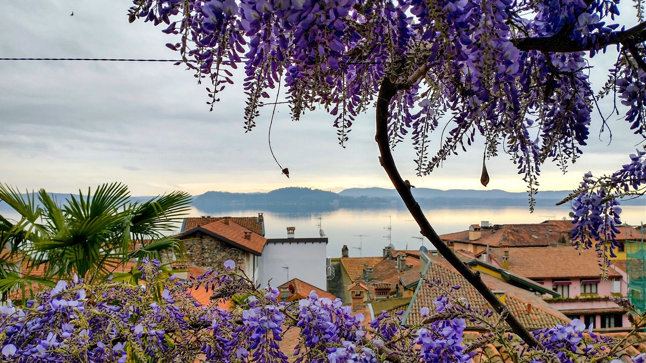 Photo of Outdoor in Belgirate