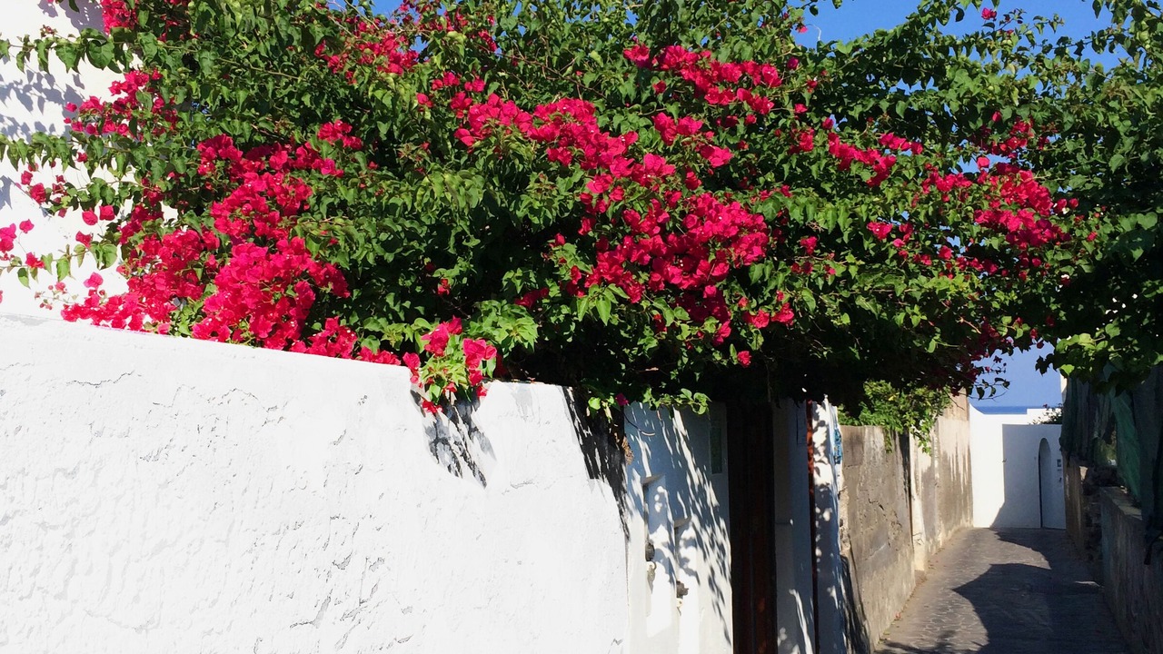 Photo of Outdoor in Piscita