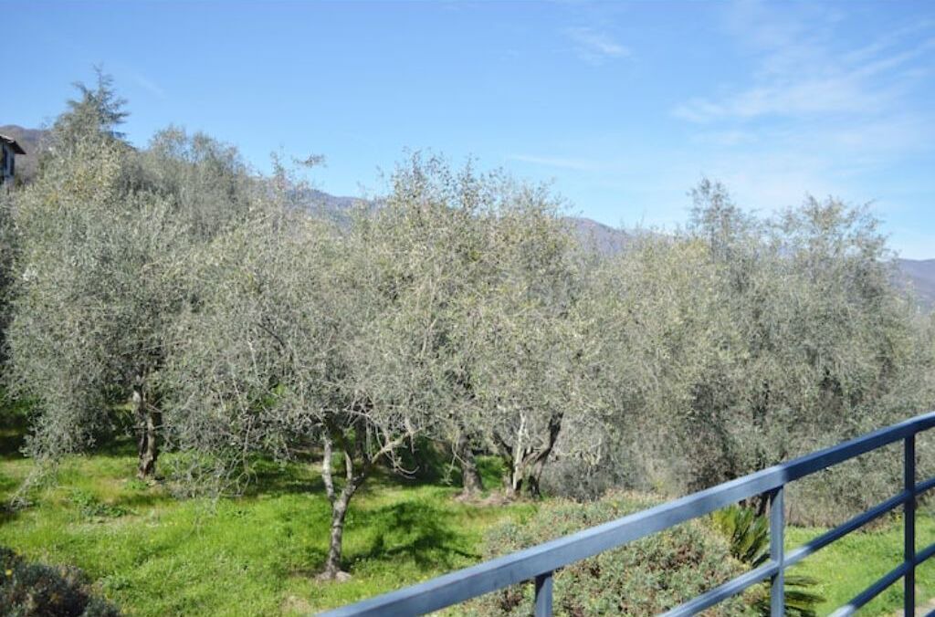 Photo of Outdoor in Siglioli