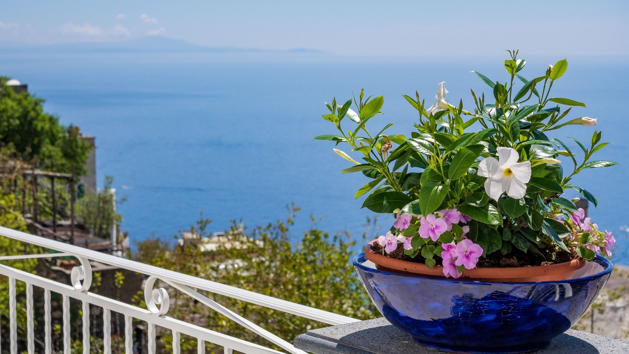 Photo of Outdoor in Chiesa Nuova