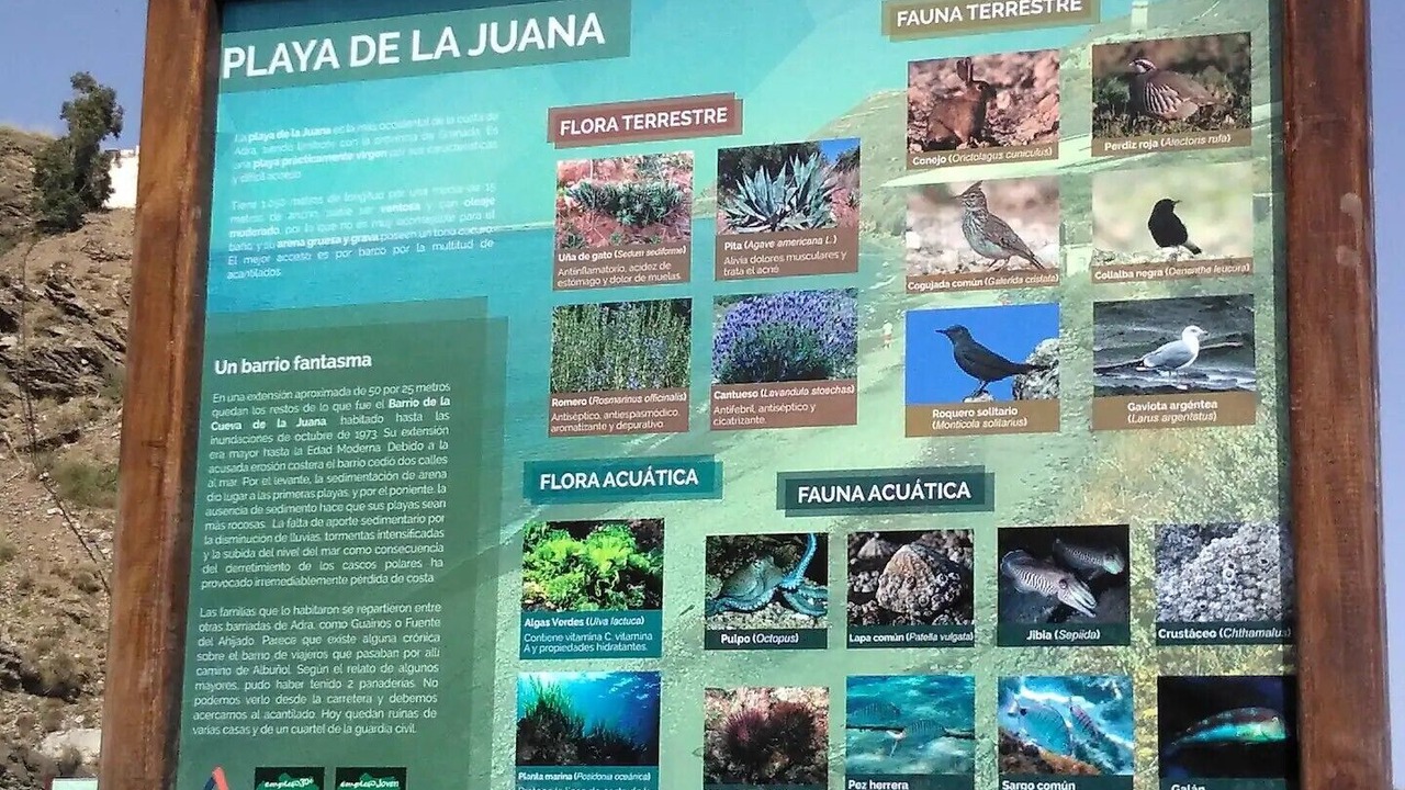 Photo of Others in Guainos Bajos