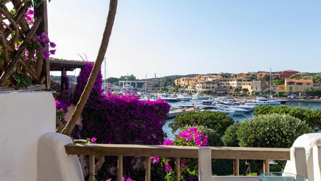 Photo of Others in Porto Cervo