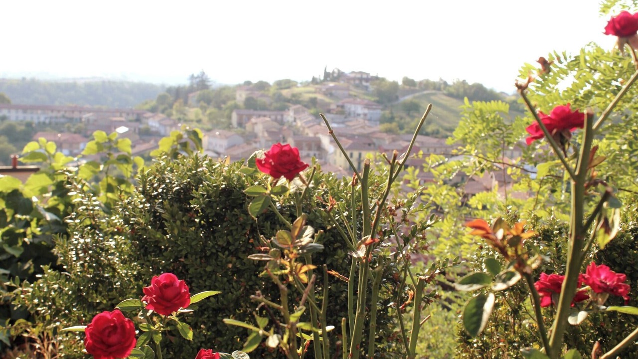 Photo of Outdoor in Grazzano Badoglio