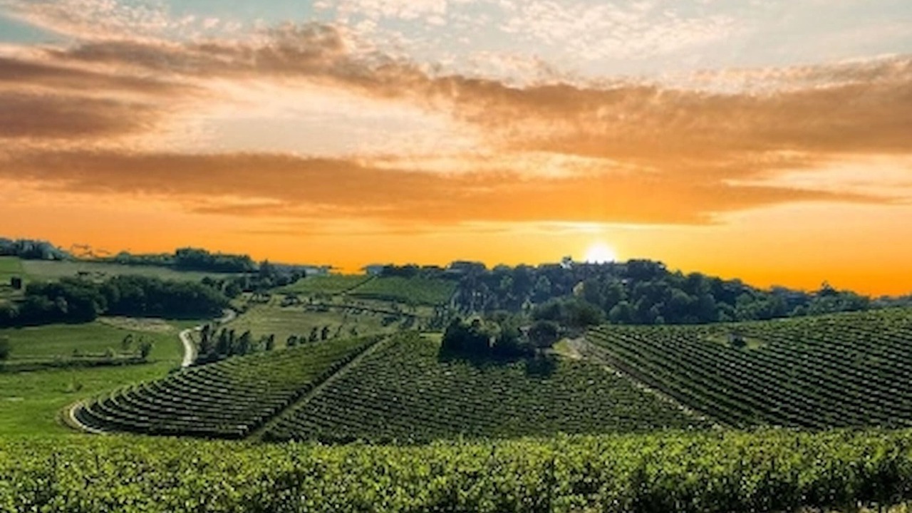 Photo of Others in Grazzano Badoglio