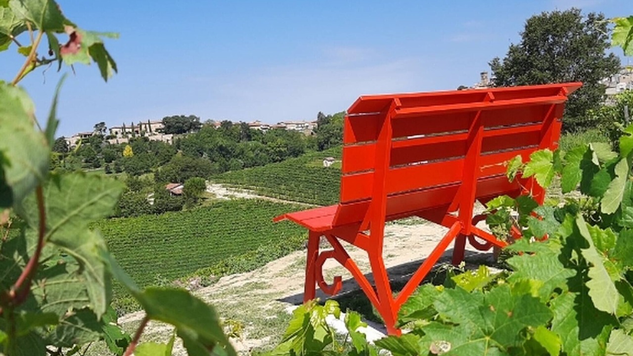 Photo of Outdoor in Grazzano Badoglio