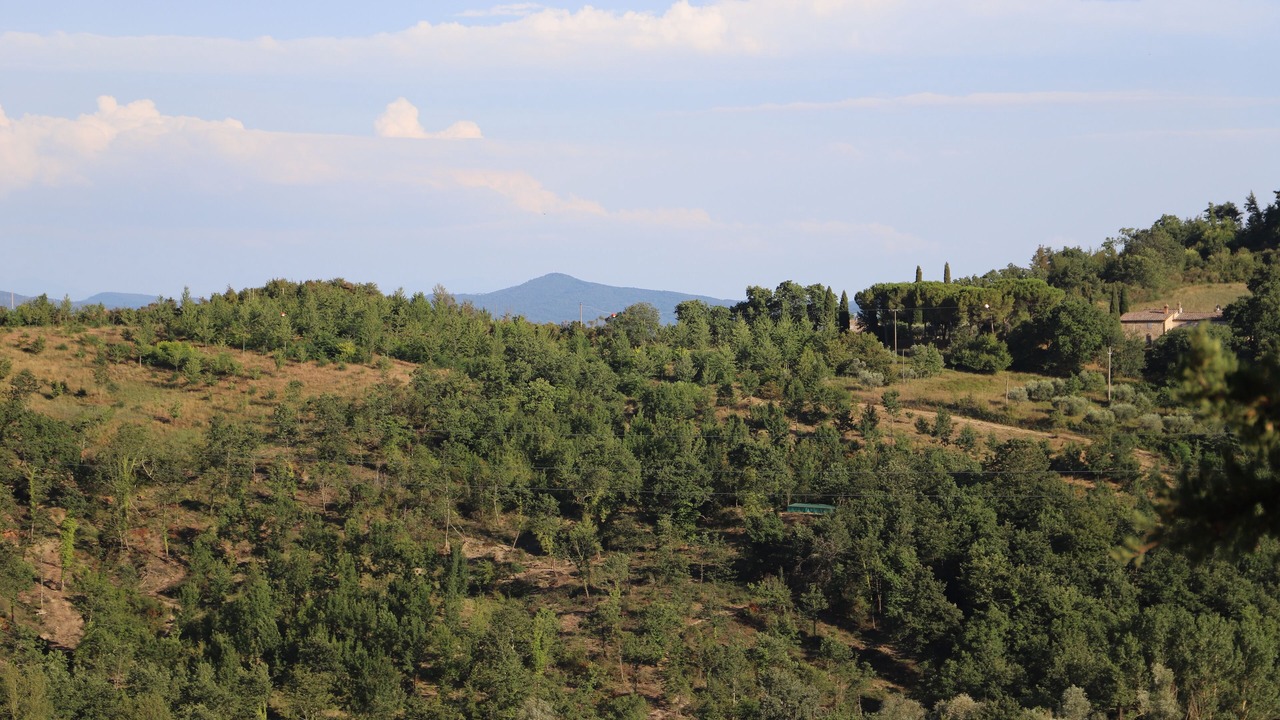 Photo of Outdoor in Radicondoli