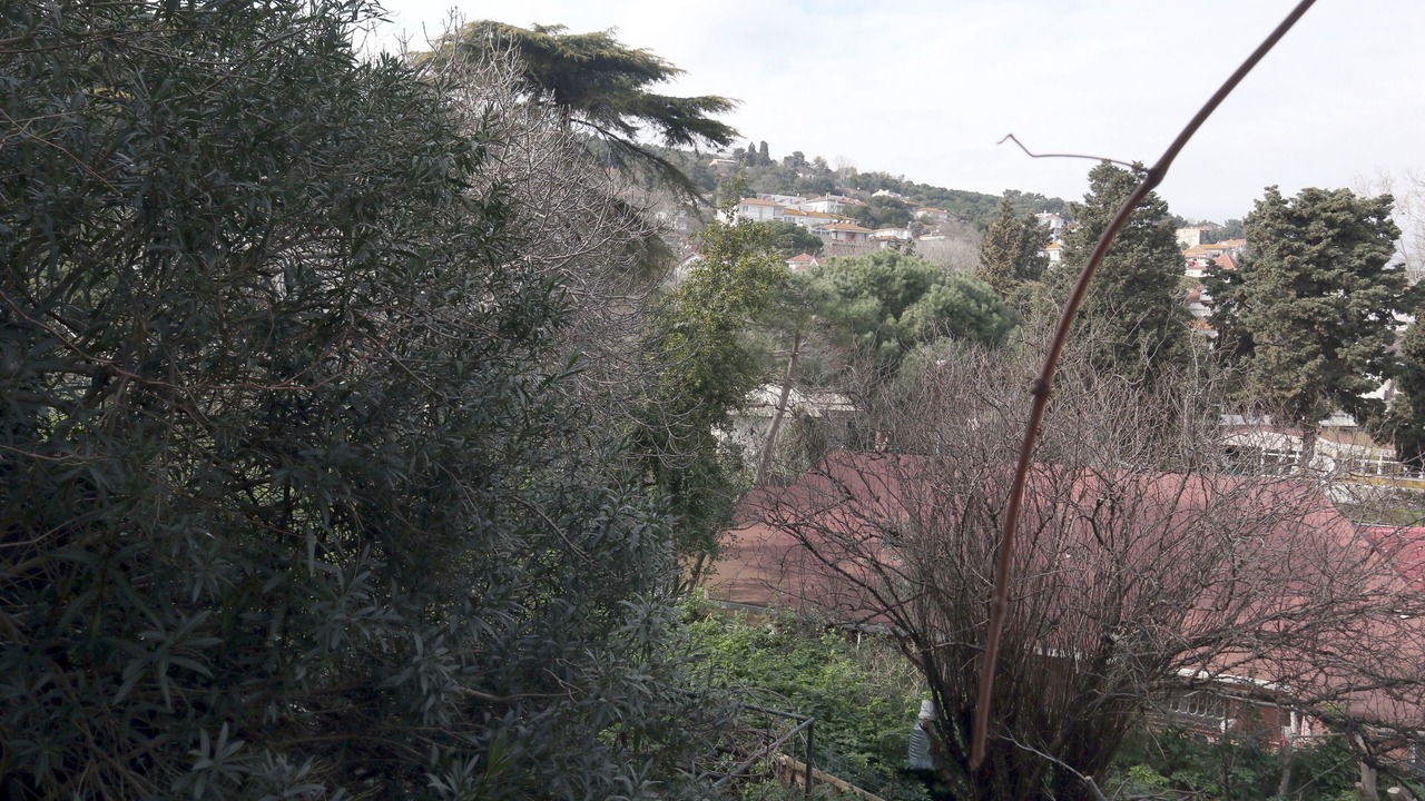 Photo of Others in Adalar