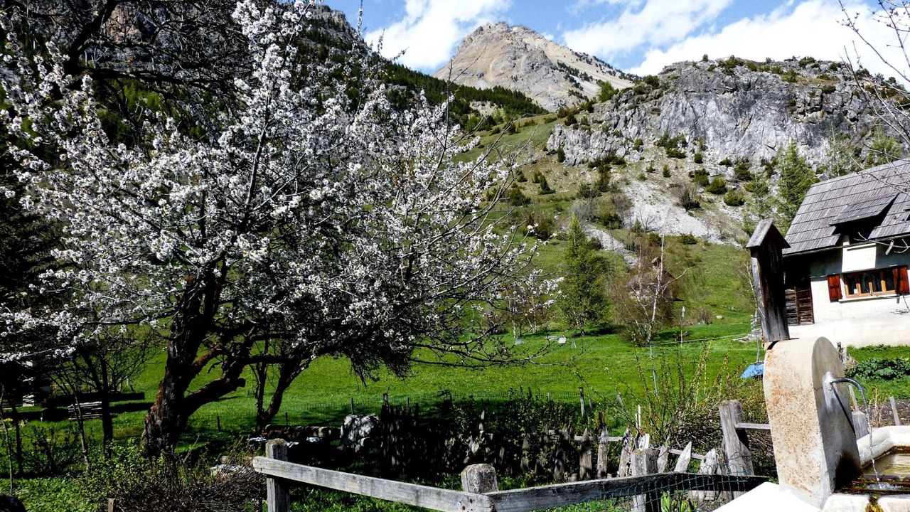 Photo of Outdoor in Bardonecchia