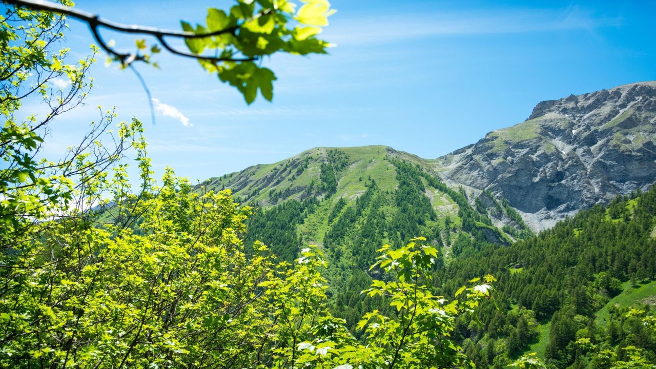 Photo of Outdoor in Bardonecchia