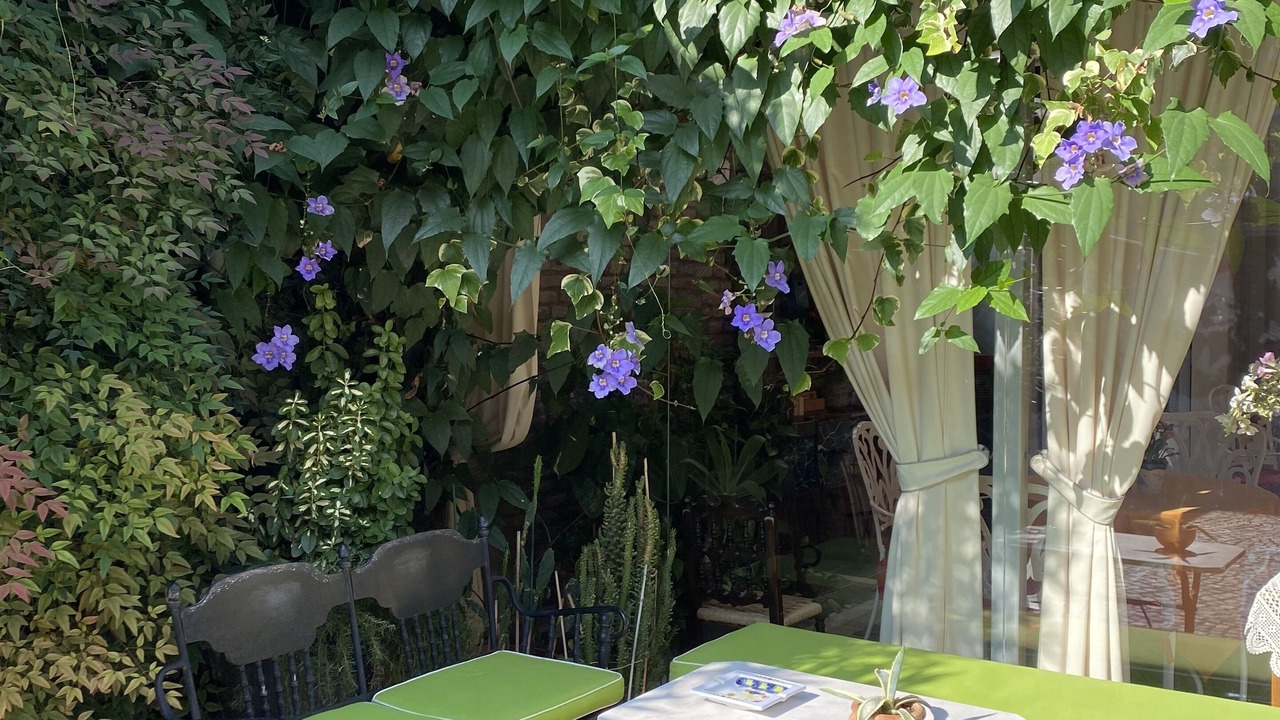 Photo of Outdoor in Ravenna