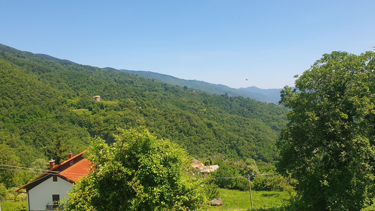Photo of Outdoor in Mendatica