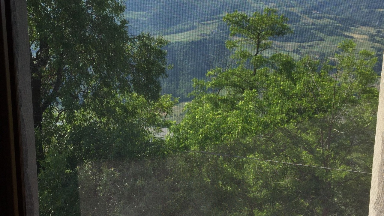 Photo of Others in Bobbio