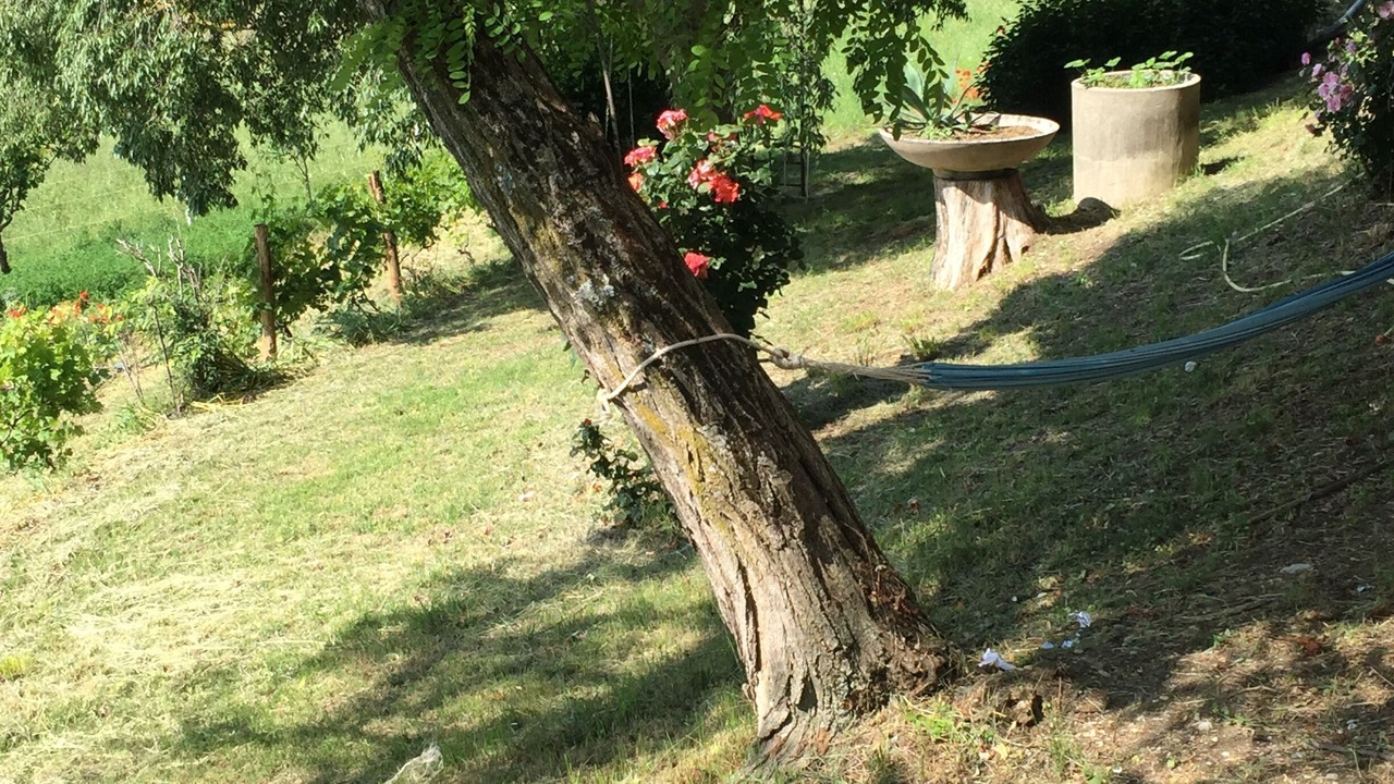 Photo of Outdoor in Bobbio