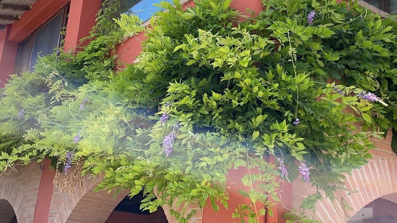 Photo of Outdoor in Todi