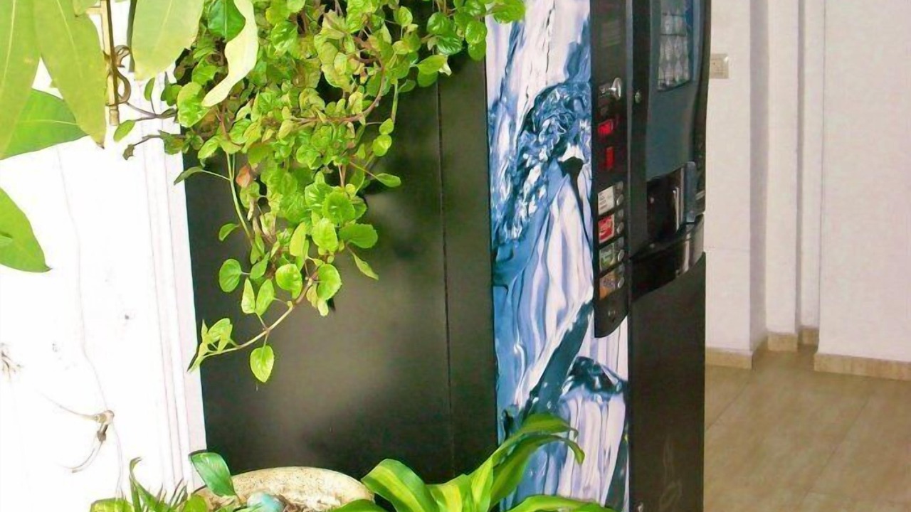 Photo of Others in Cassa de la Selva