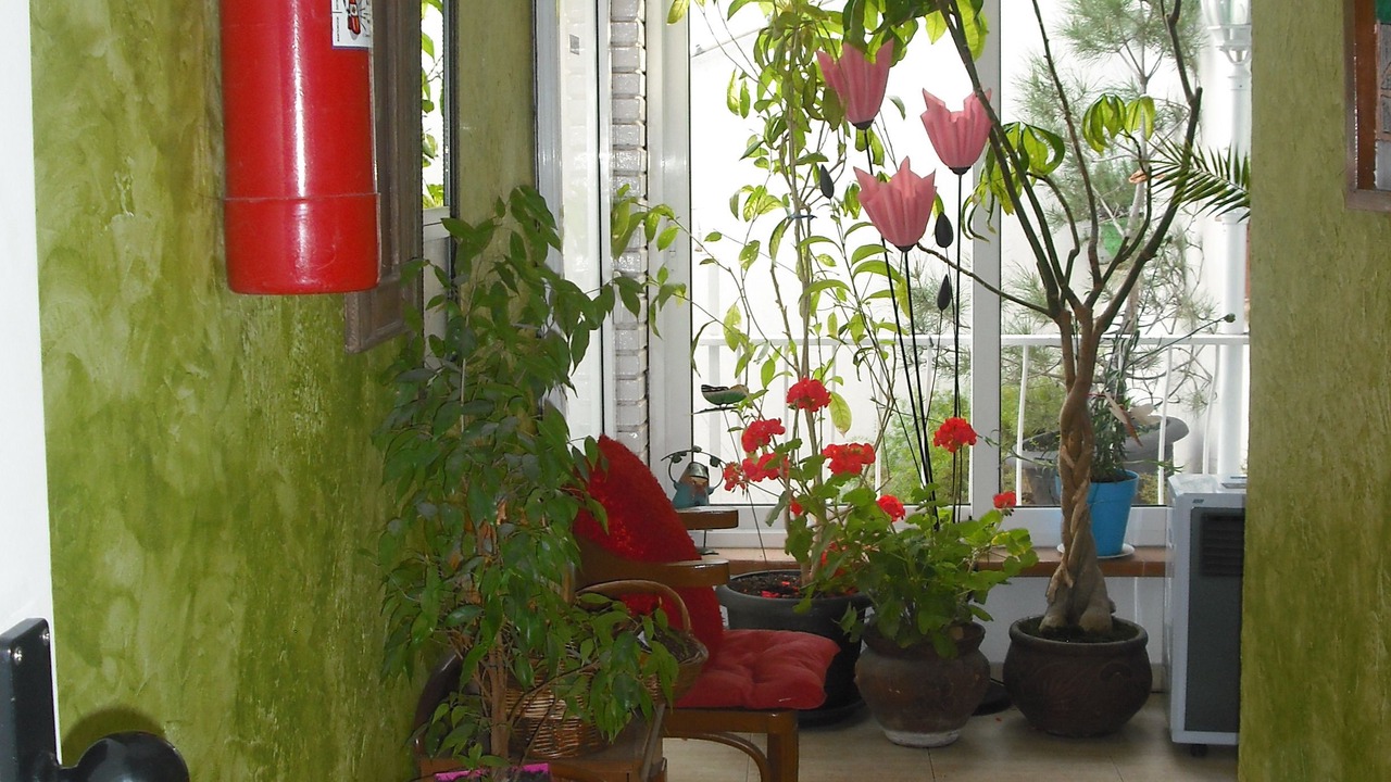Photo of Others in Cassa de la Selva