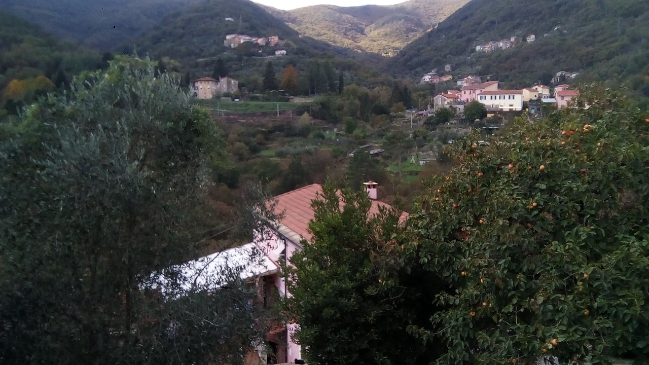 Photo of Outdoor in La Foce