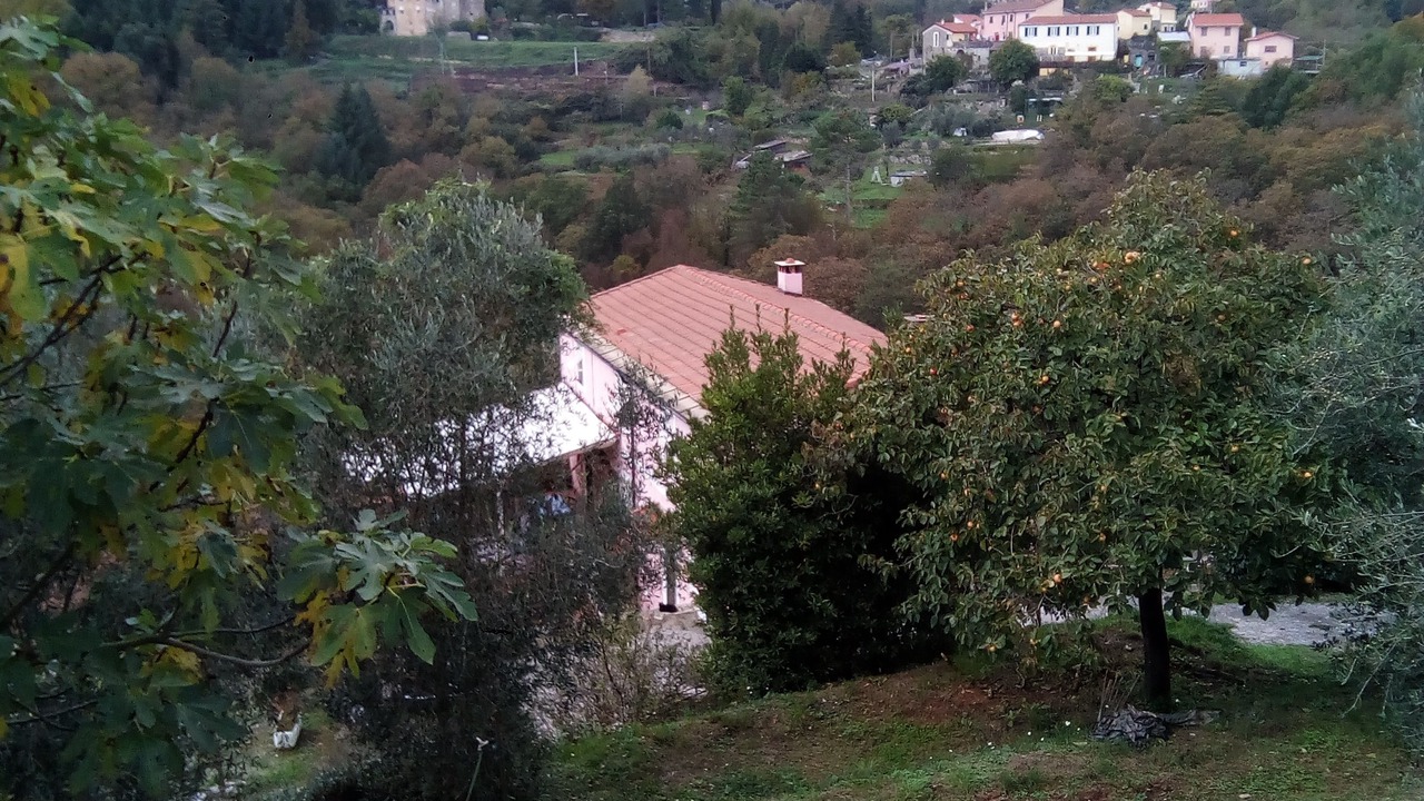 Photo of Outdoor in La Foce