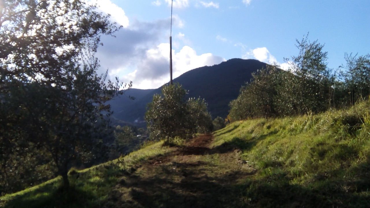 Photo of Outdoor in La Foce