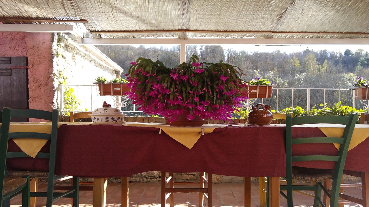 Photo of Patio Balcony in La Foce