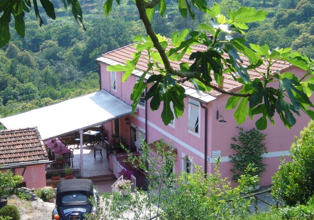 Photo of Outdoor in La Foce