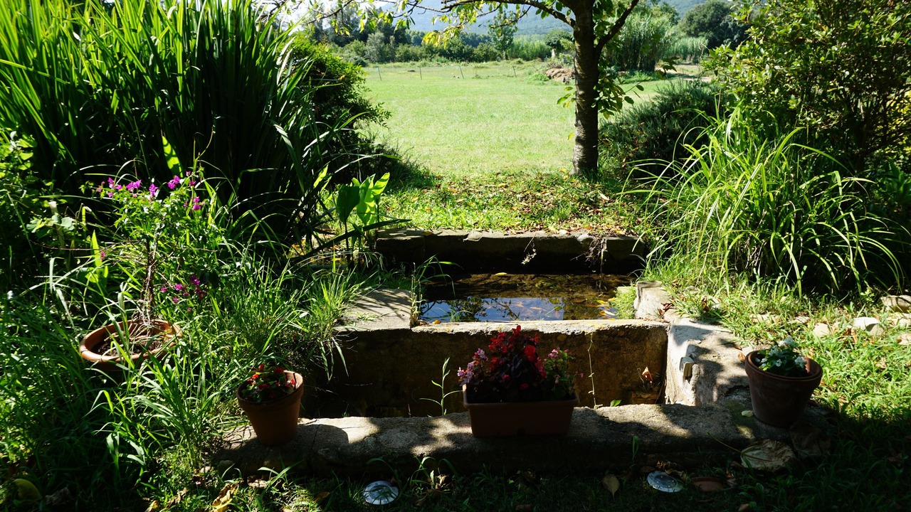 Photo of Patio Balcony in La Cellera de Ter