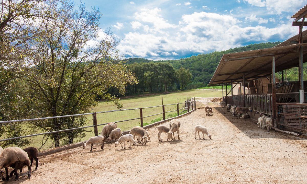 Photo of Outdoor in La Vall de Bianya