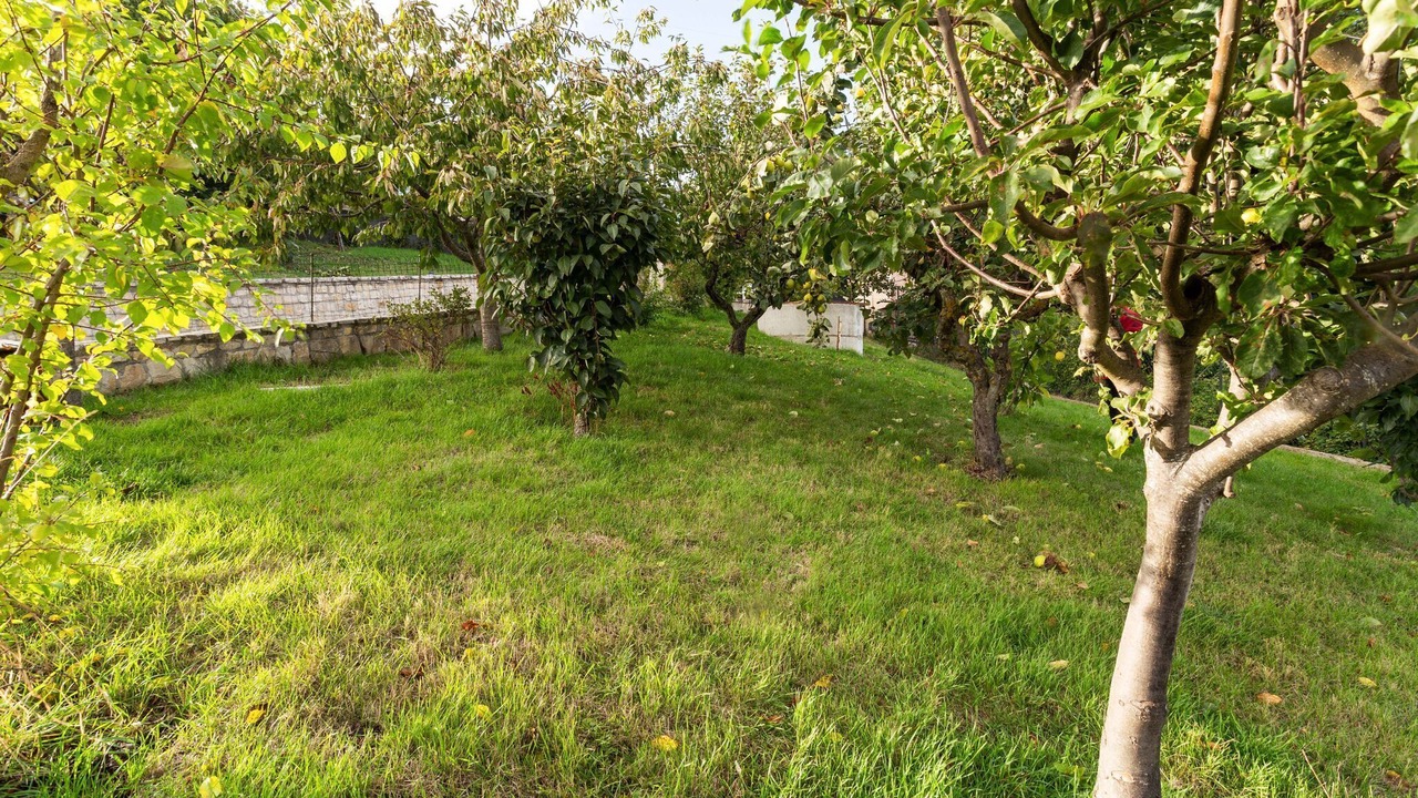 Photo of Outdoor in Campobasso