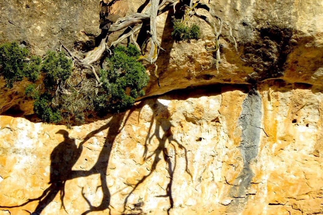 Photo of Outdoor in Canamares
