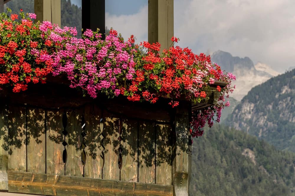Photo of Outdoor in Giustino