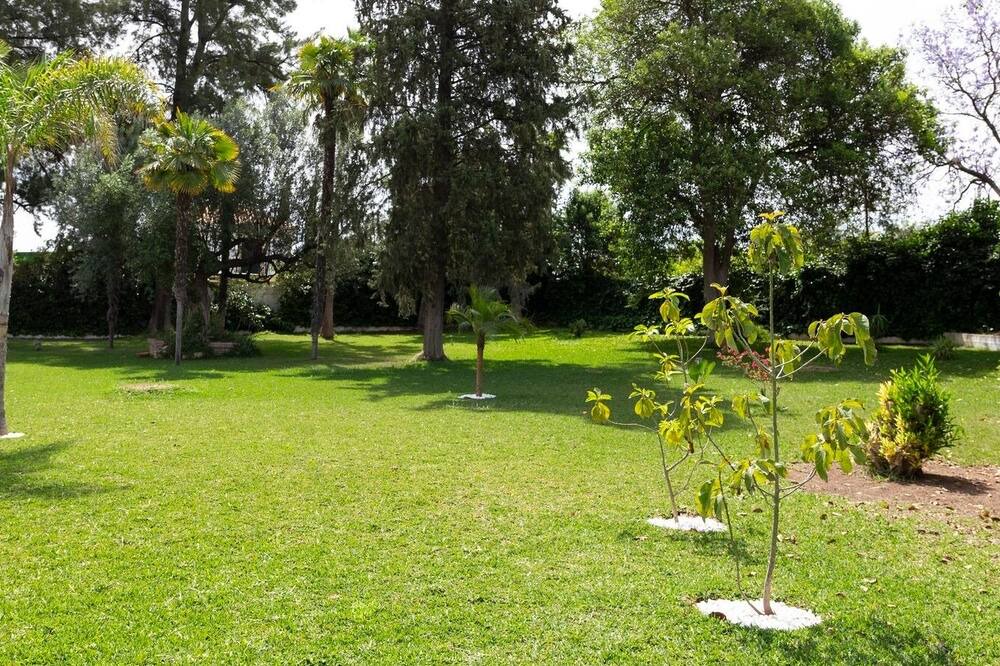 Photo of Outdoor in Sanlucar la Mayor