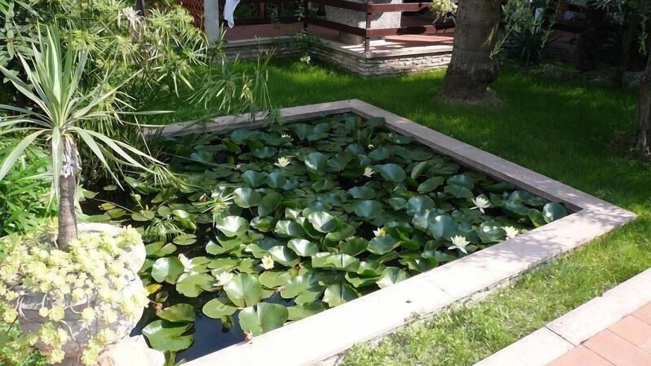 Photo of Outdoor in Toscolano Maderno