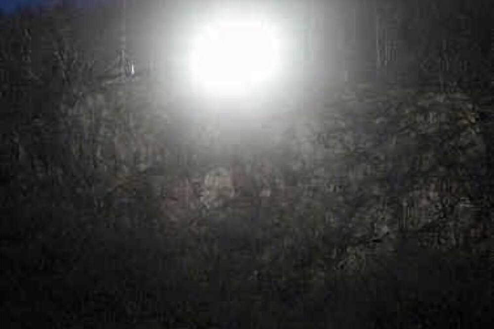 Photo of Others in Cheggio