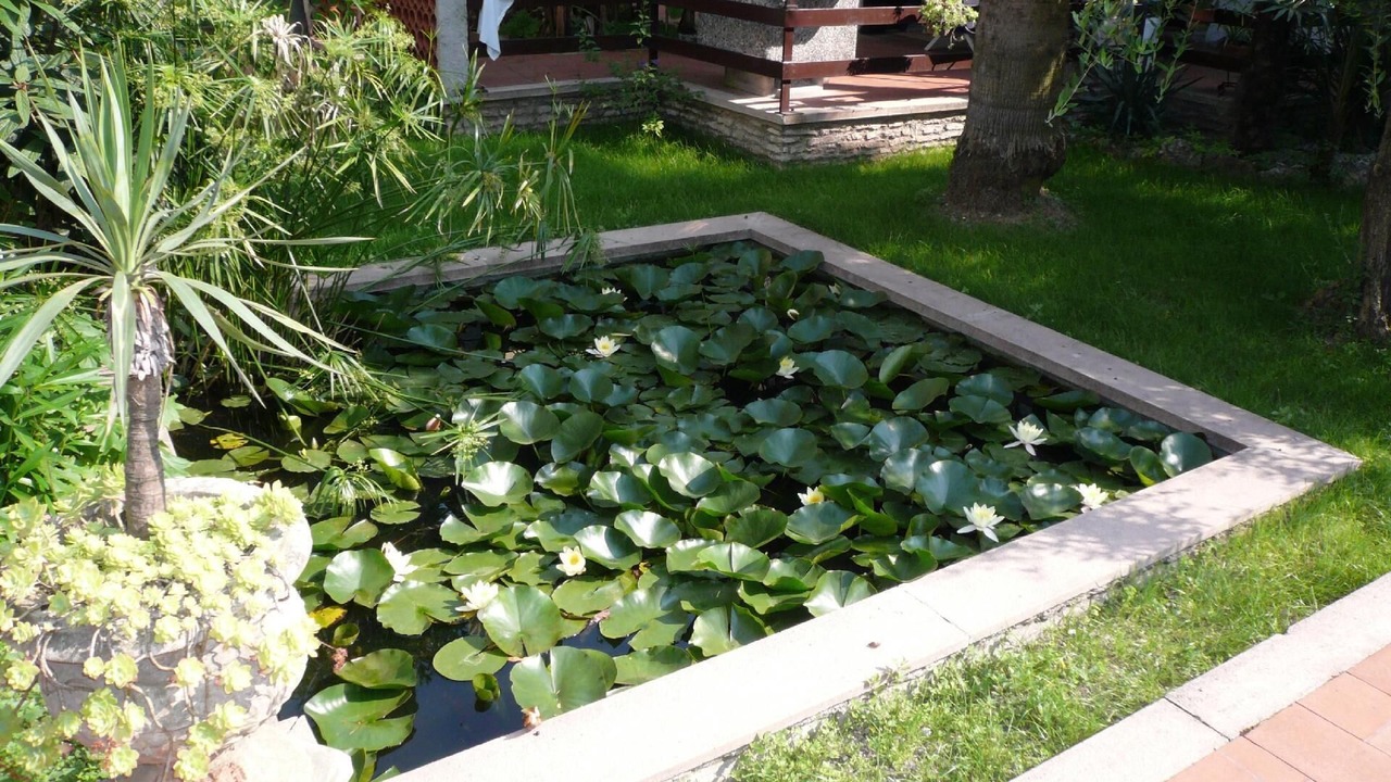 Photo of Outdoor in Toscolano Maderno